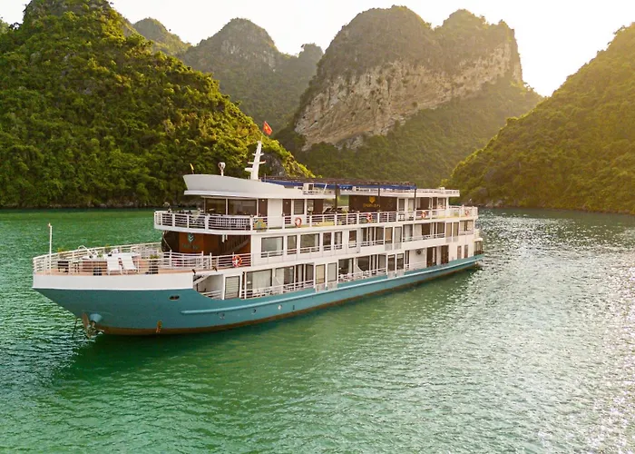 Oasis Cruise - Social  5*