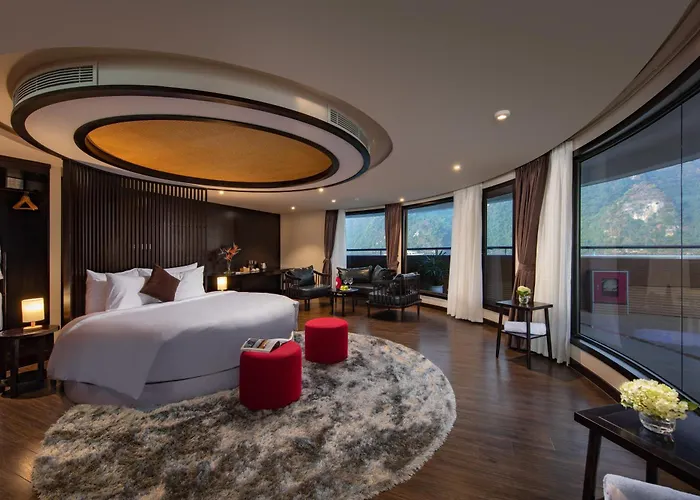 Oasis Cruise - Social 5*